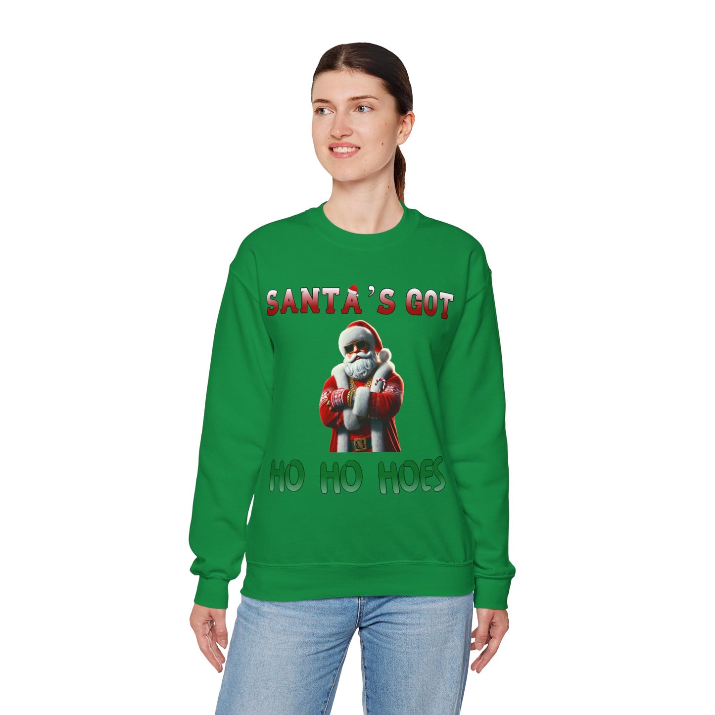 Santa's got ho ho hoes christmas sweater