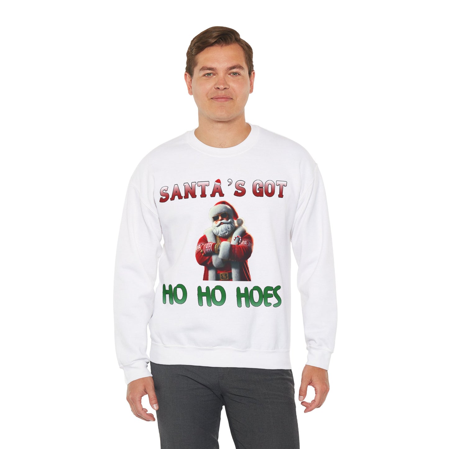 Santa's got ho ho hoes christmas sweater