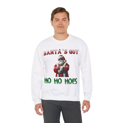 Santa's got ho ho hoes christmas sweater