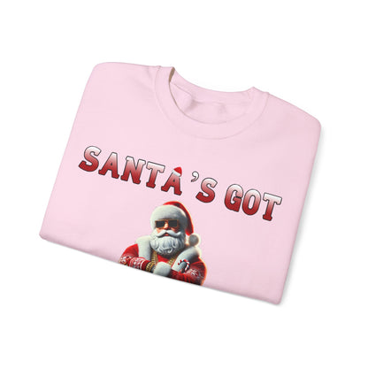 Santa's got ho ho hoes christmas sweater