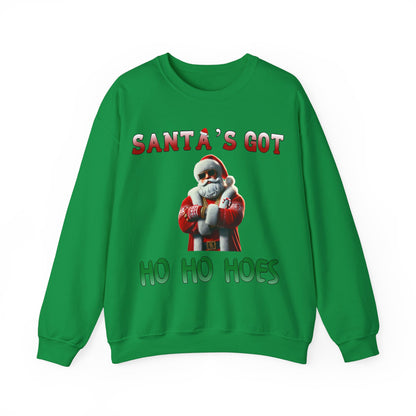 Santa's got ho ho hoes christmas sweater