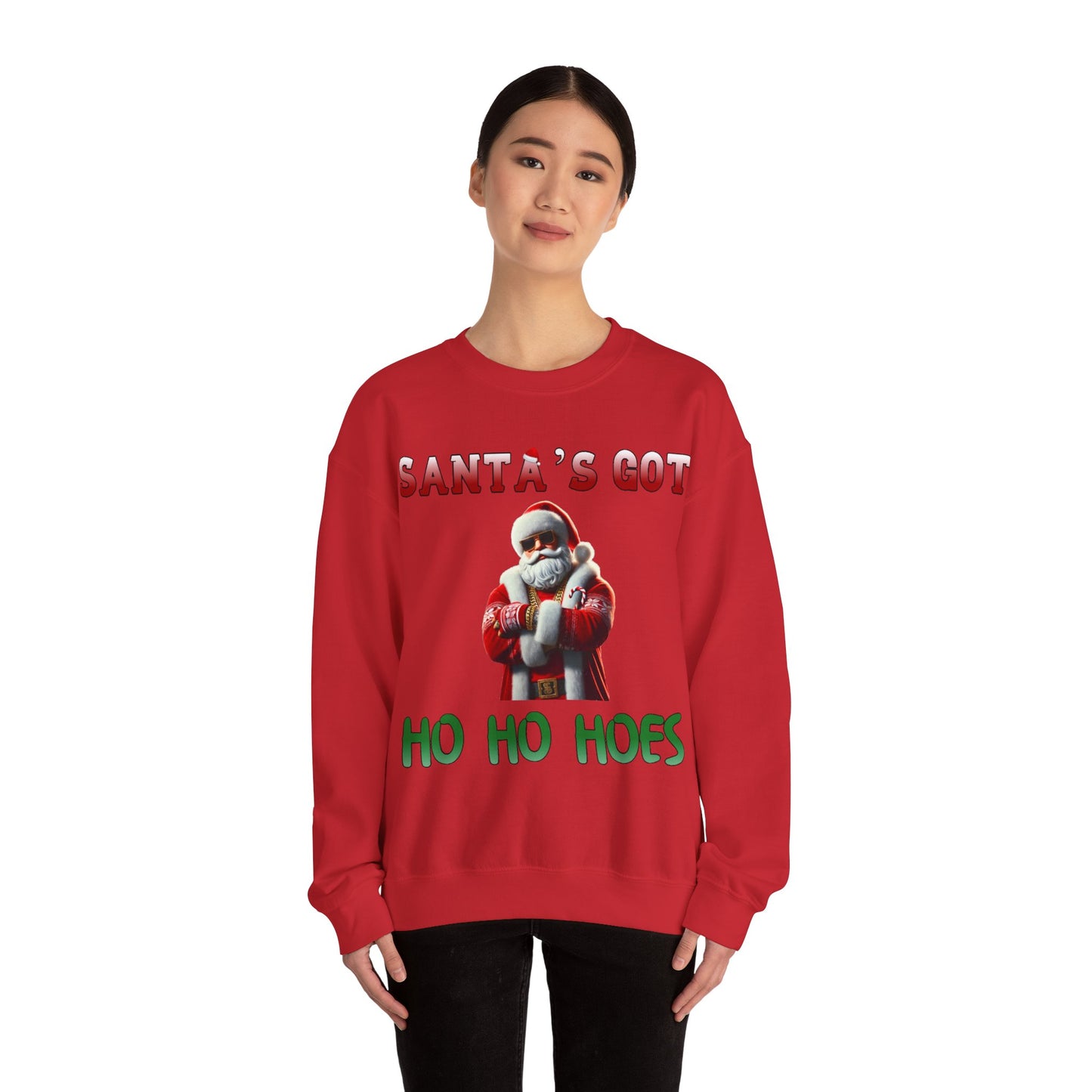 Santa's got ho ho hoes christmas sweater