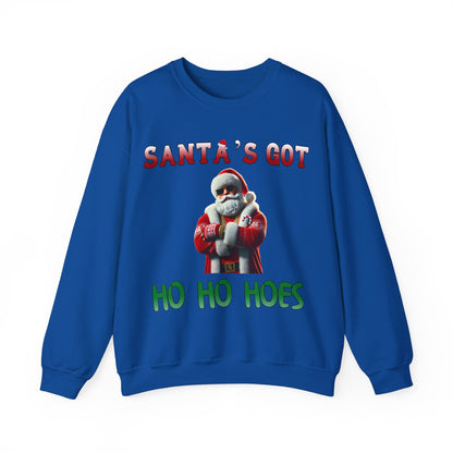 Santa's got ho ho hoes christmas sweater