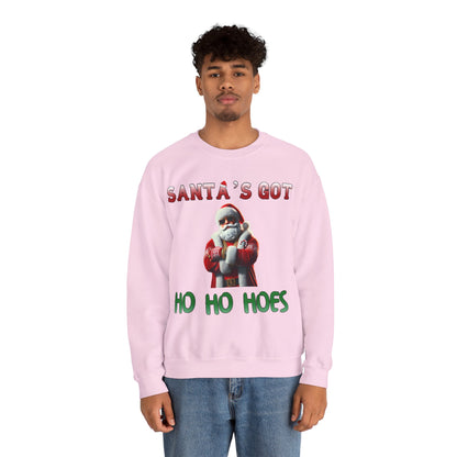 Santa's got ho ho hoes christmas sweater