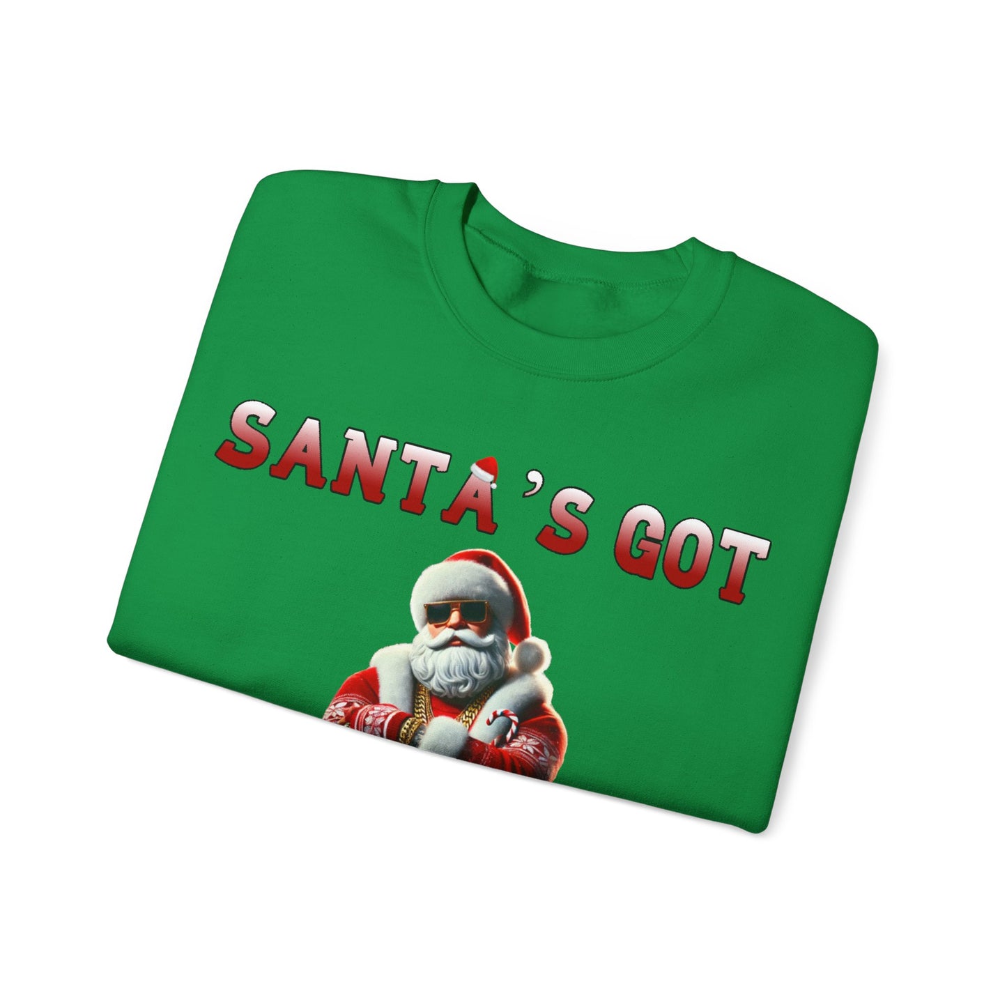 Santa's got ho ho hoes christmas sweater