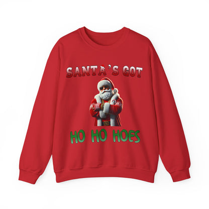 Santa's got ho ho hoes christmas sweater