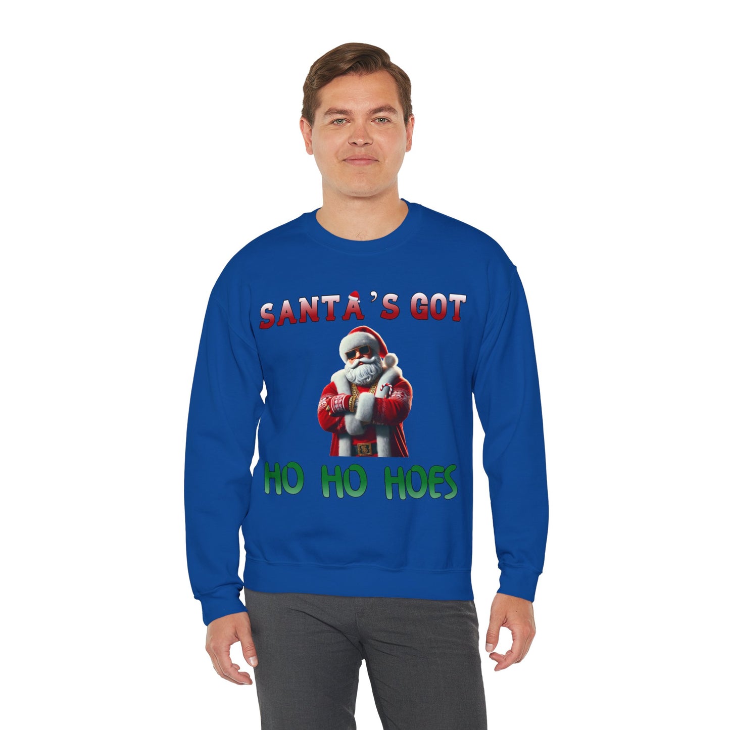 Santa's got ho ho hoes christmas sweater