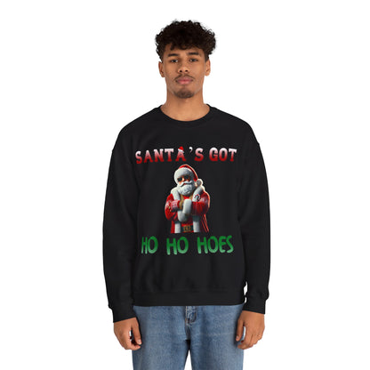 Santa's got ho ho hoes christmas sweater