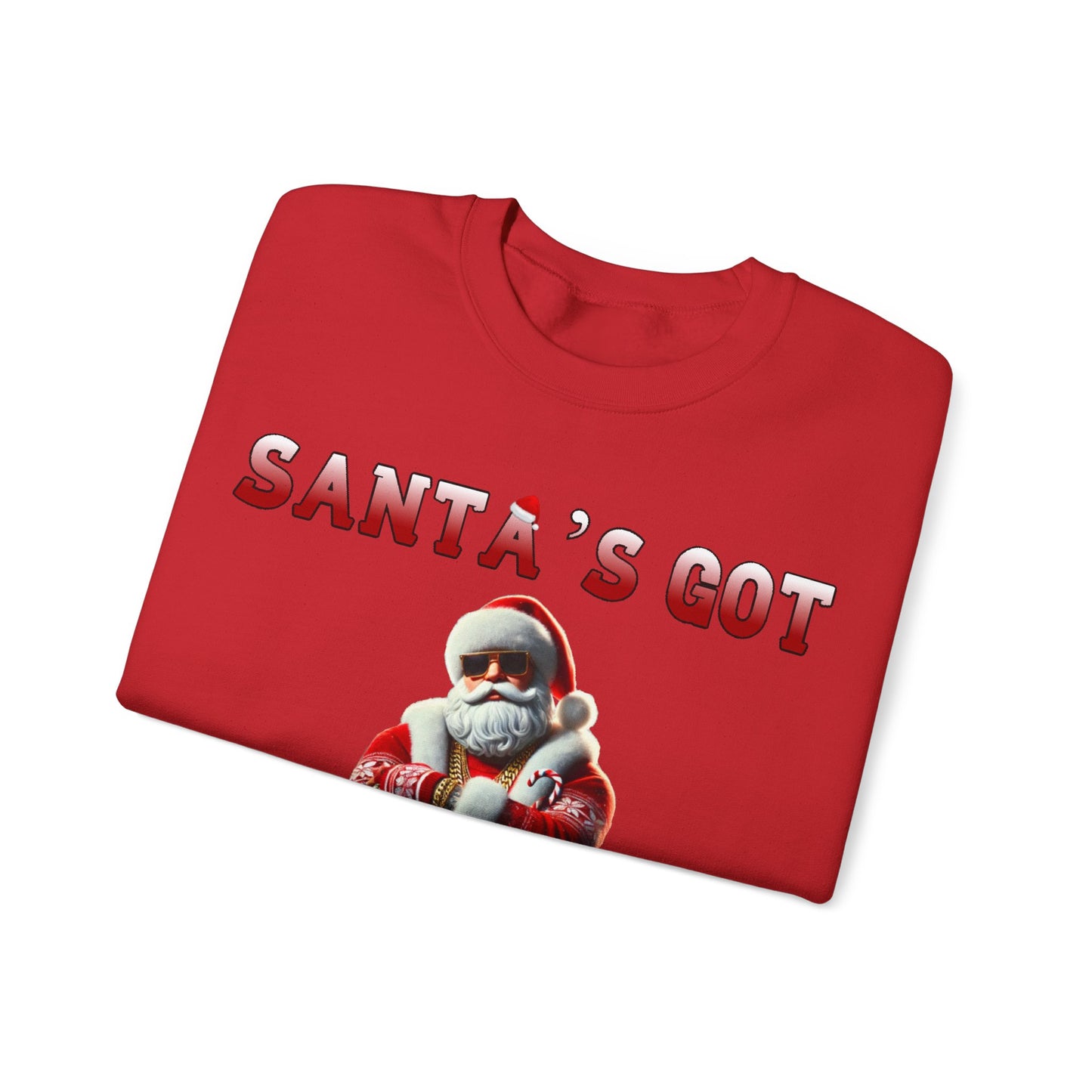 Santa's got ho ho hoes christmas sweater